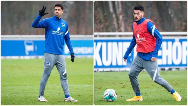 乐鱼体育下载-德甲冬窗总结：赫塔也不乱花钱了，世界冠军回国了